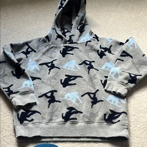 Snowboards - fleece hoodie